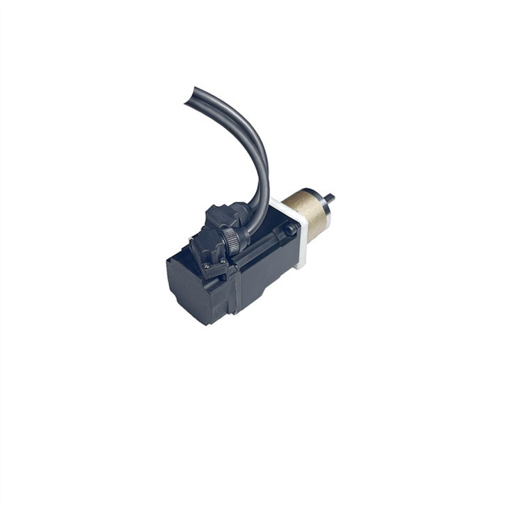 Integrated Gearbox Servo Motor